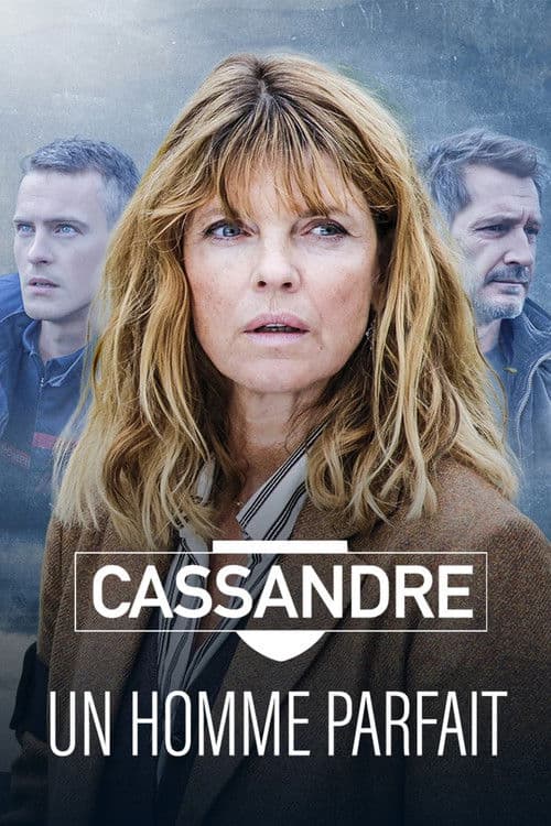 Poster for Cassandre - Un homme parfait