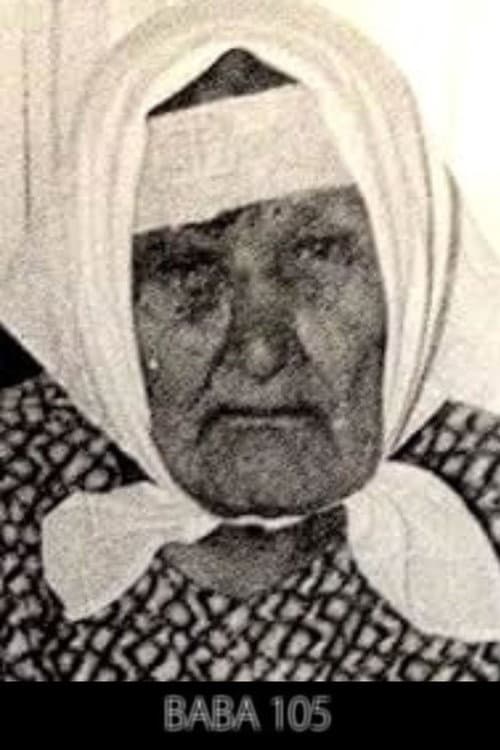 Poster for Babá 105