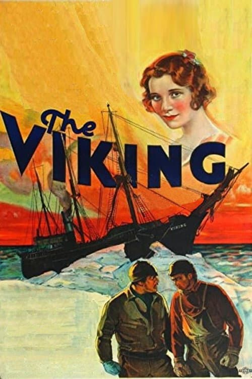 Poster for The Viking