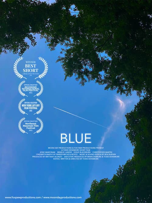 Poster for Blue