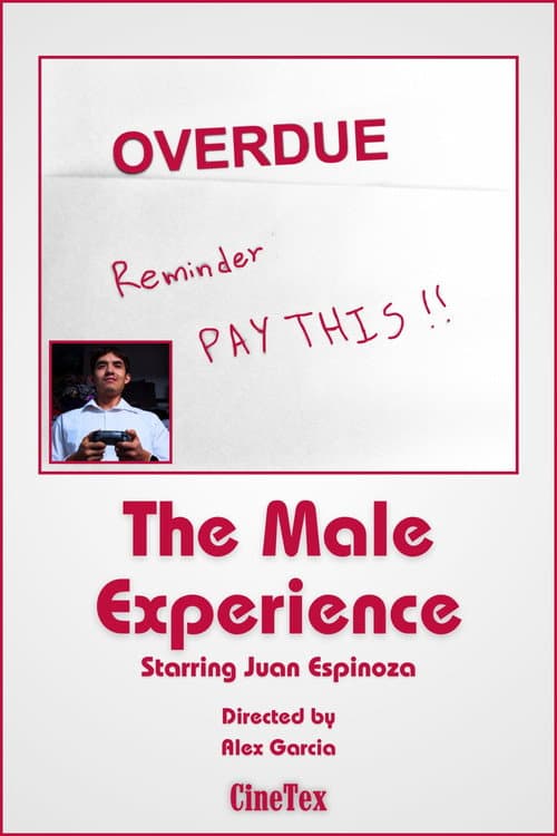 Poster for The Male Experience