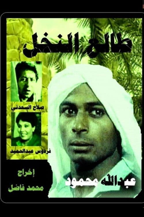 Poster for palm climber