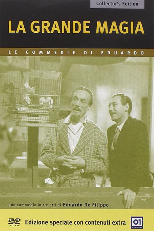 Poster for La grande magia