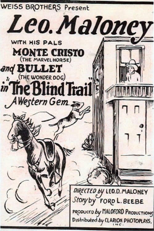 Постер до фільму «The Blind Trail»