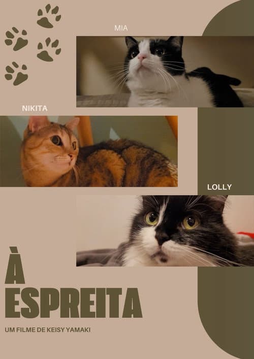 Poster for À Espreita
