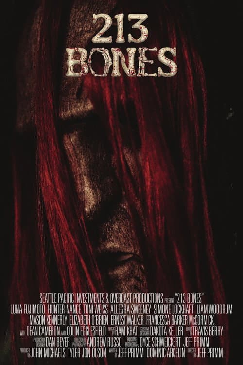 Poster for 213 Bones