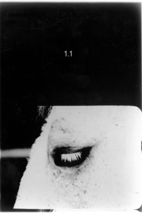 Poster for Pocket Cinema - The Catalogue