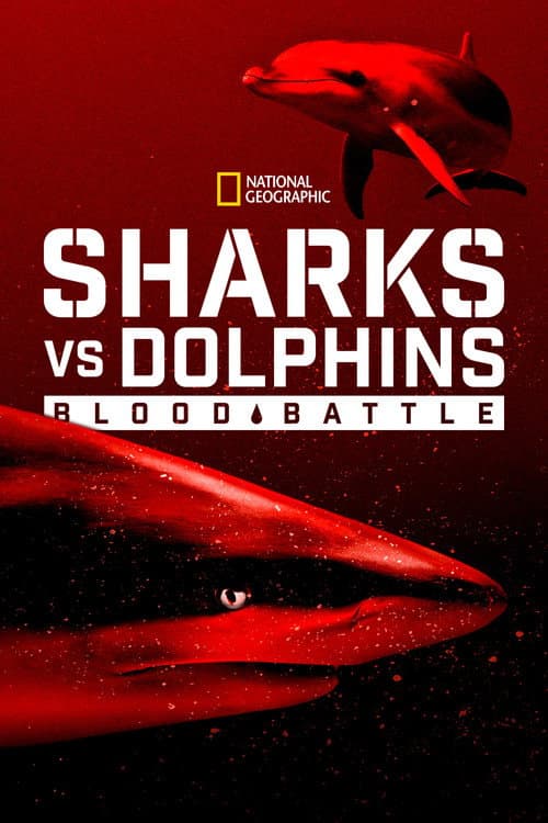 Poster for Sharks vs. Dolphins: Blood Battle