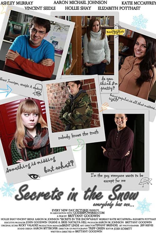 Poster for Secrets in the Snow