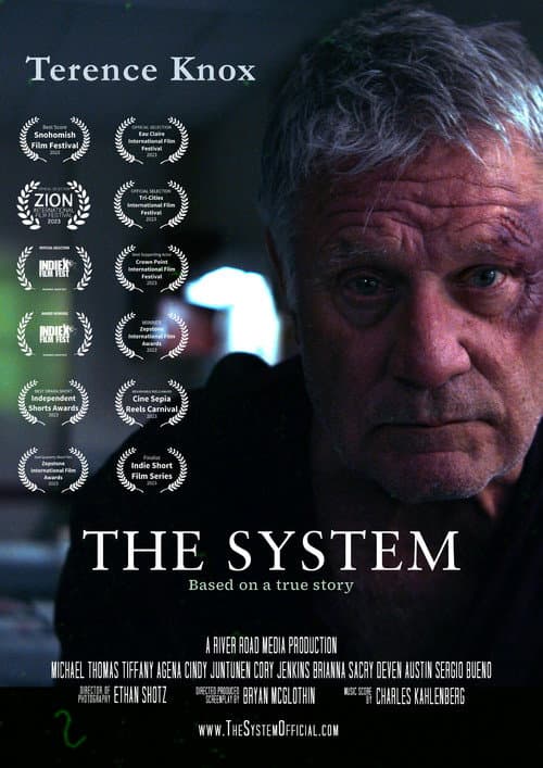 Poster for The System