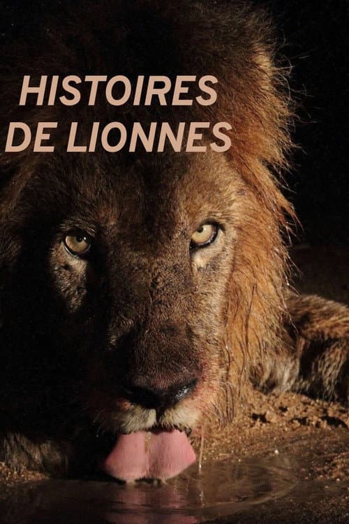 Poster for Histoires de lionnes