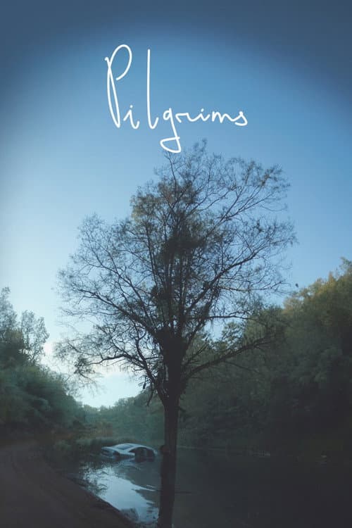 Poster for Pilgrims