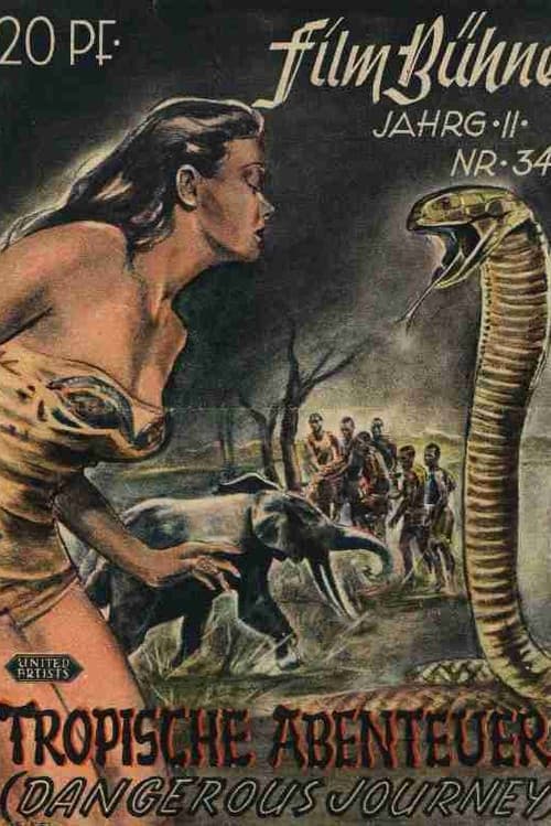 Poster for Dangerous Journey