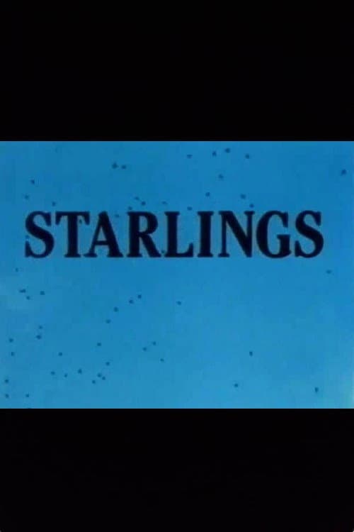 Poster for Starlings