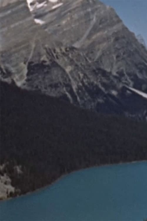 Poster for Wildlife in the Rockies