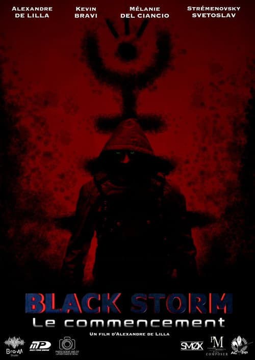 Poster for Black Storm : Le commencement