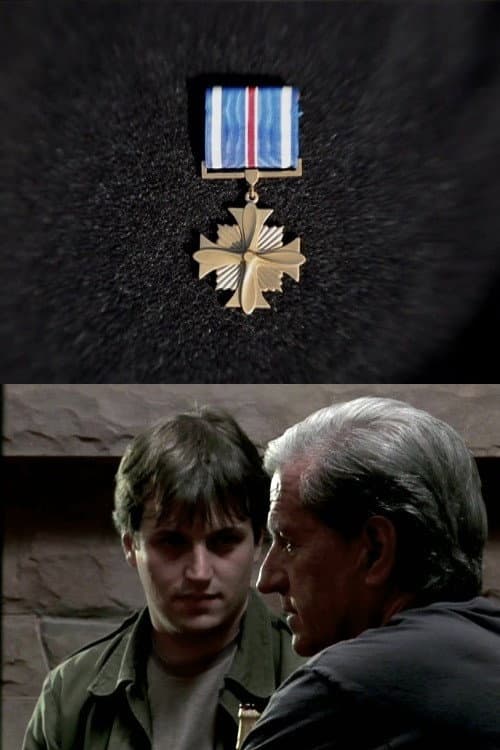 Poster for Distinguished Flying Cross