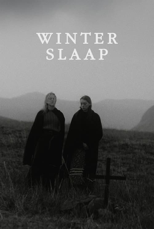 Poster for Hibernation