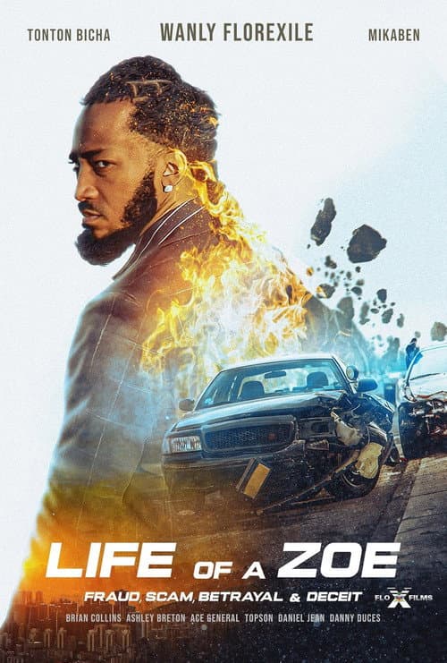 Poster for Life of a Zoe