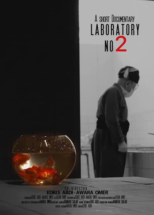 Poster for Laboratory No.2