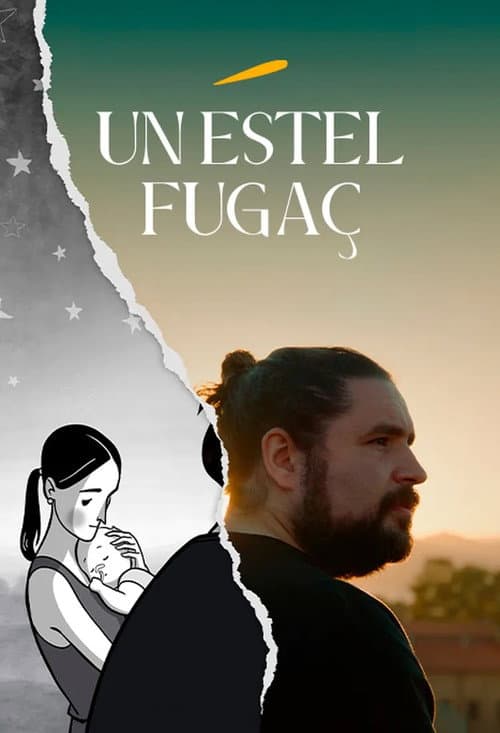 Poster for A Shooting Star