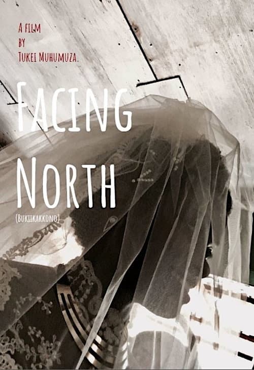 Poster for Facing North