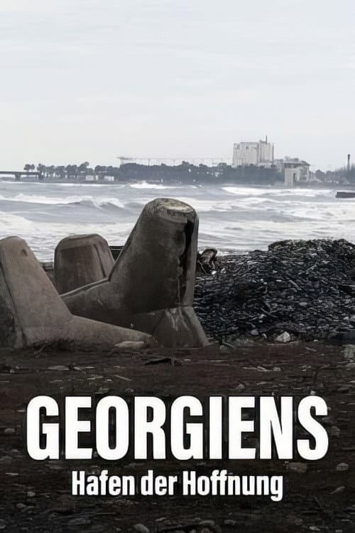 Poster for Géorgie - Le port de tous les enjeux