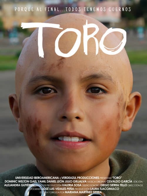 Poster for TORO