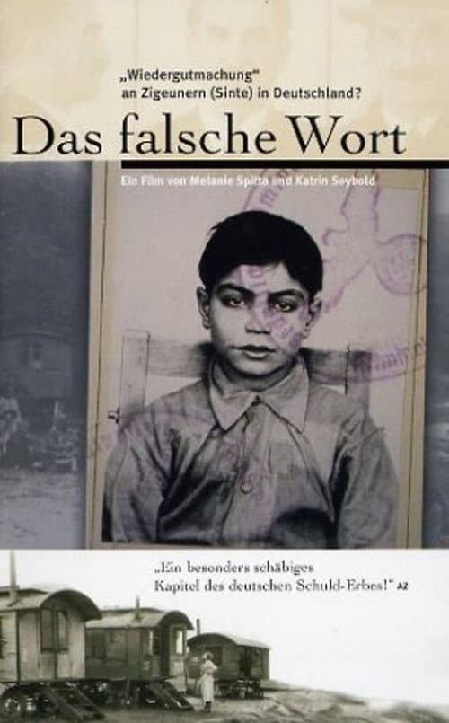 Poster for The Lie