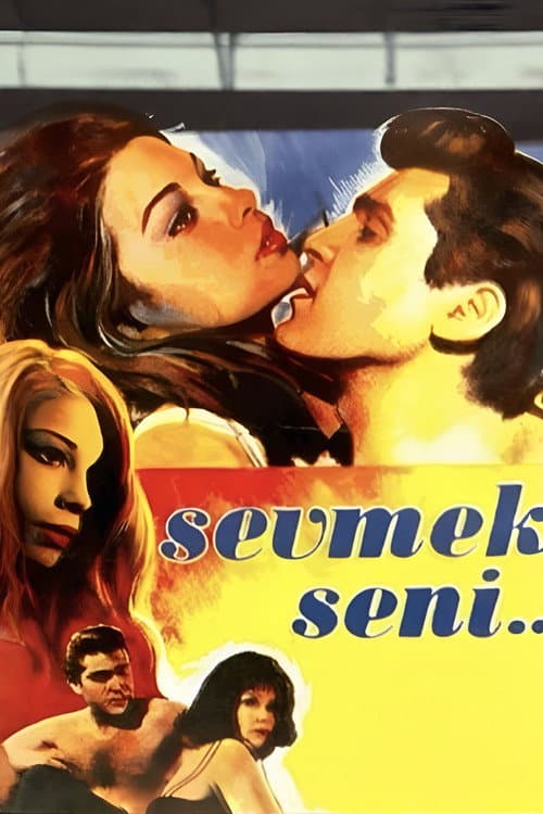 Poster for Sevmek Seni