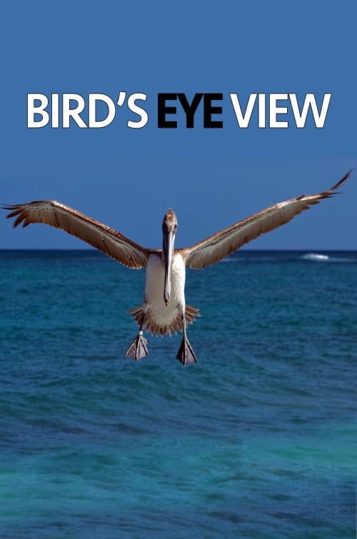 Poster for Bird's Eye View