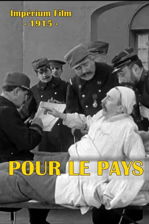 Poster for Pour le pays