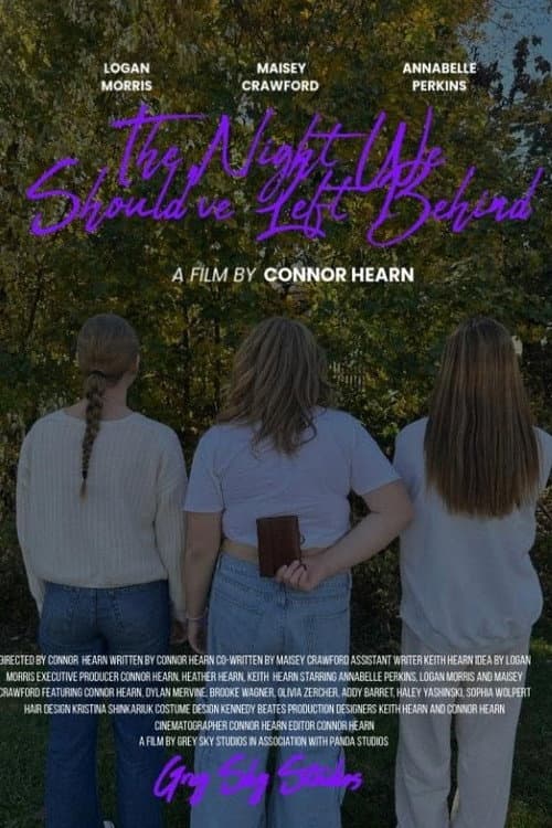 Poster for The Night We Should've Left Behind