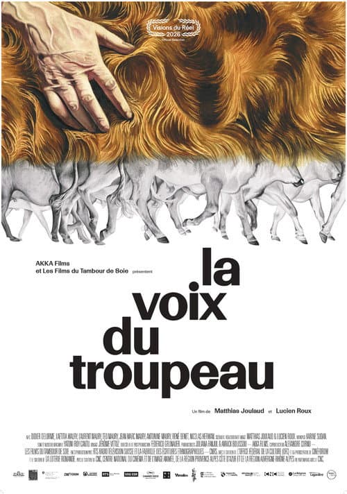 Poster for The Echo of the Herd
