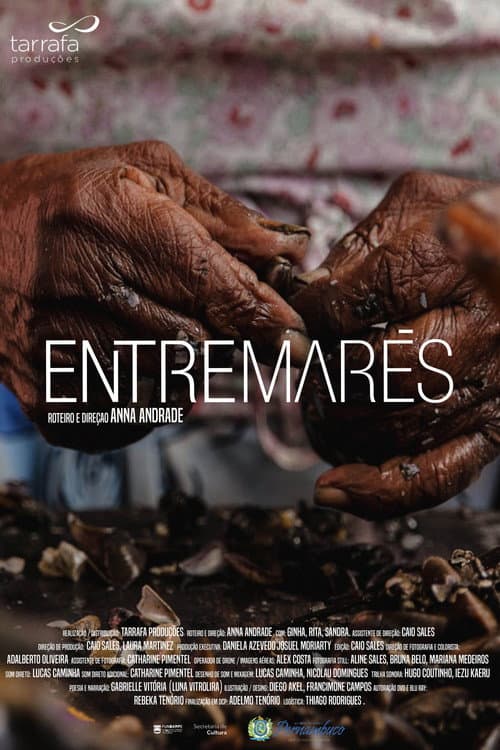 Poster for Entremarés