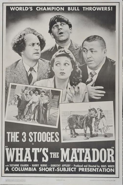 Poster for What's the Matador?