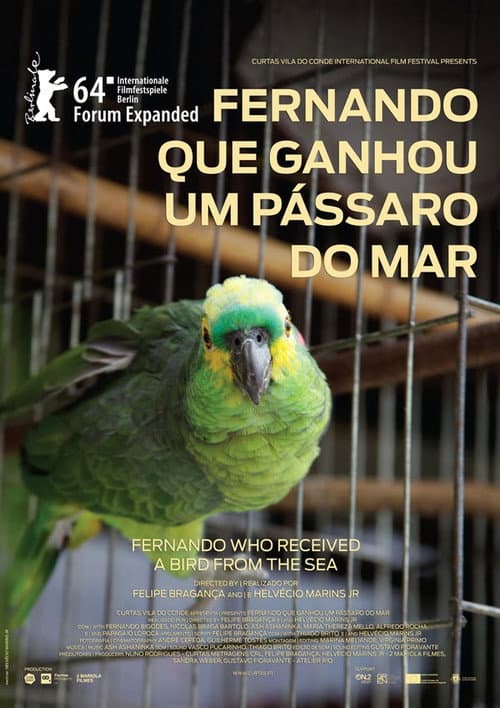 Poster for Fernando Who Received a Bird from the Sea