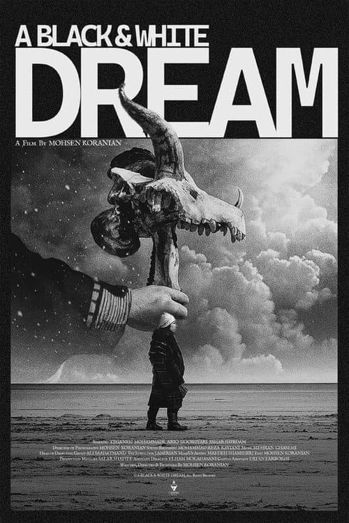 Poster for A Black & White Dream