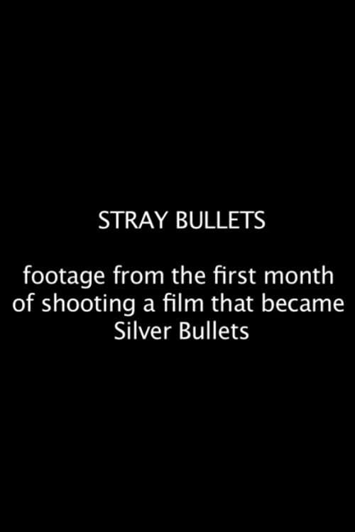 Poster for Stray Bullets