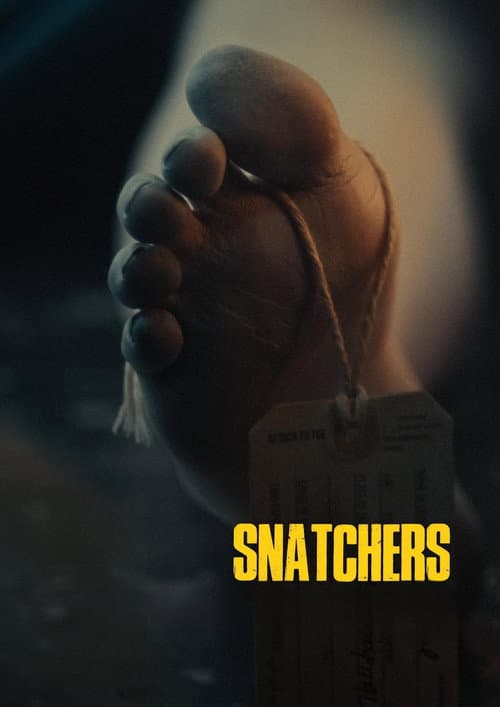 Poster for Snatchers