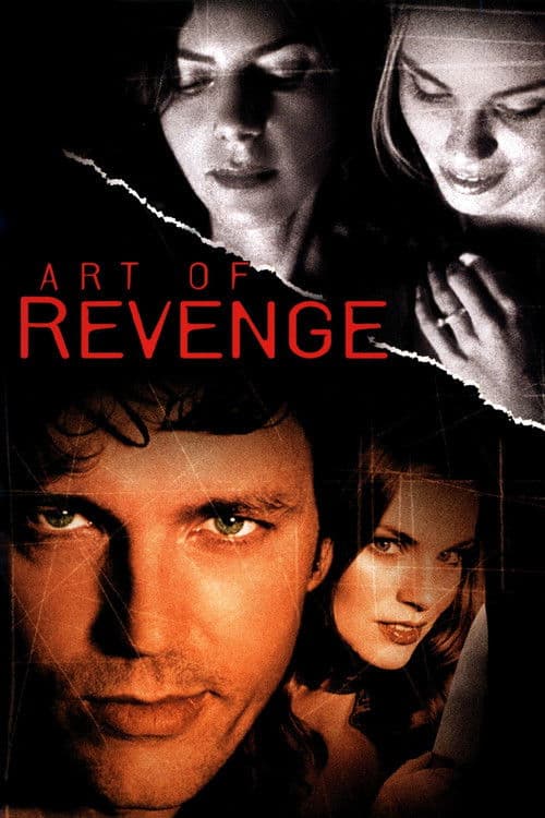 Poster for Art of Revenge