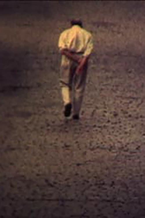 Poster for Accident