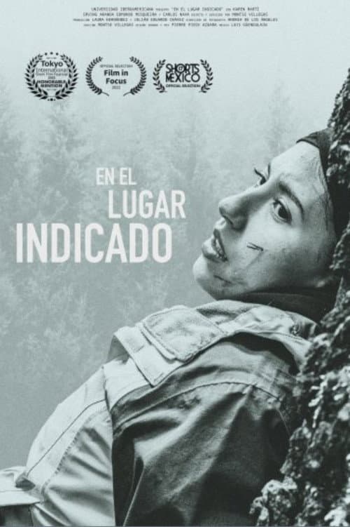 Poster for En el lugar indicado