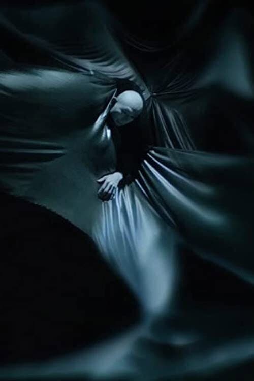 Poster for Singularity Song