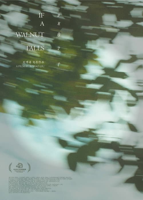 Poster for If a Walnut Falls