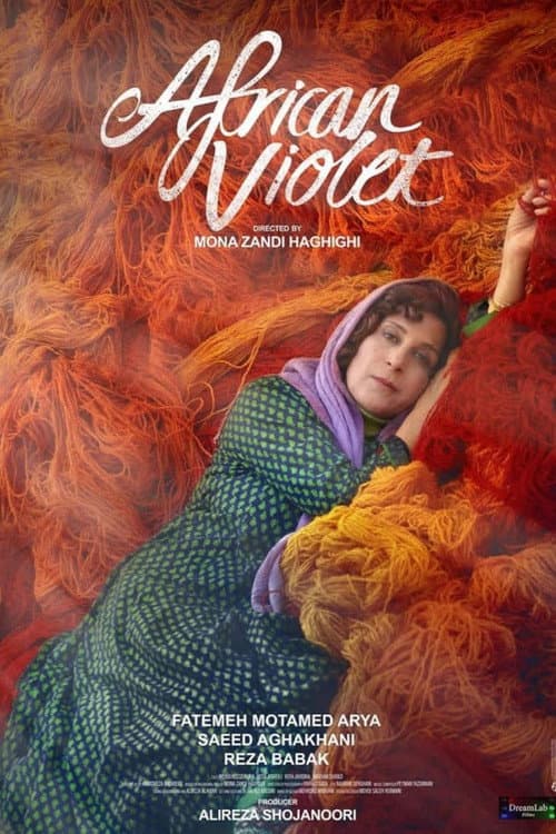 Poster for African Violet