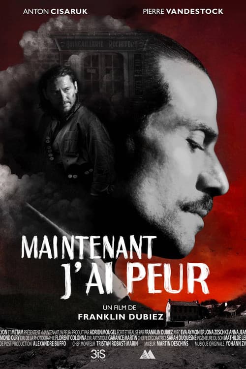Poster for Maintenant, j’ai peur