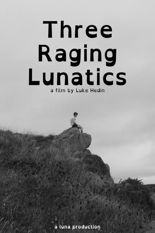 Poster for Three Raging Lunatics