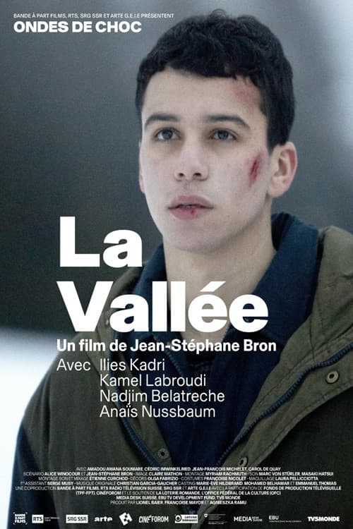 Poster for La Vallée
