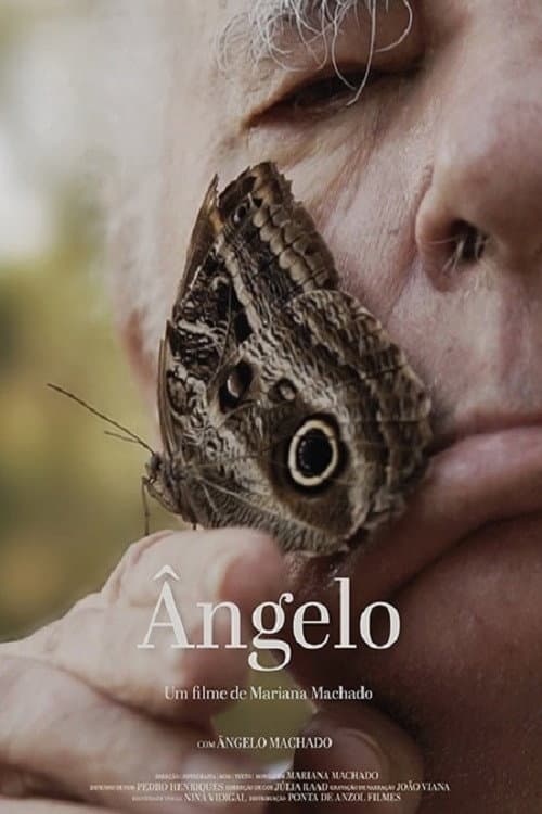 Poster for Ângelo